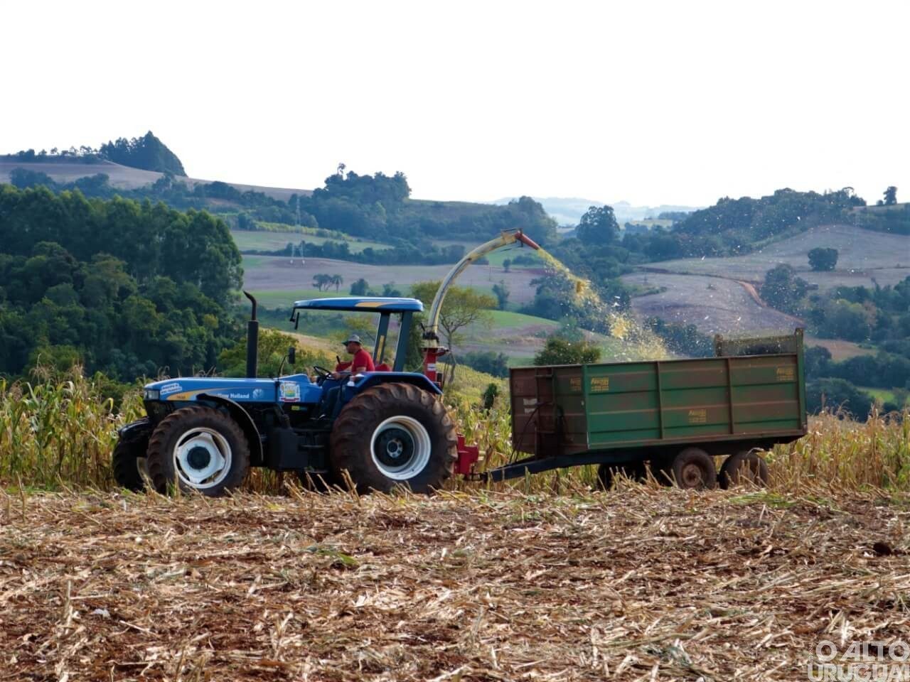 Prefeitura de Novo Tiradentes auxilia produtores na produção de silagem