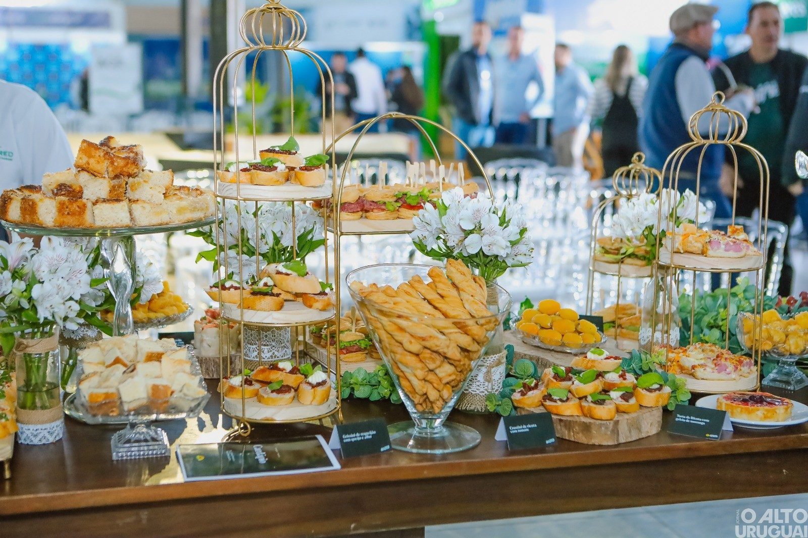 Café especial da Cotrifred encanta público na Expofred 2025