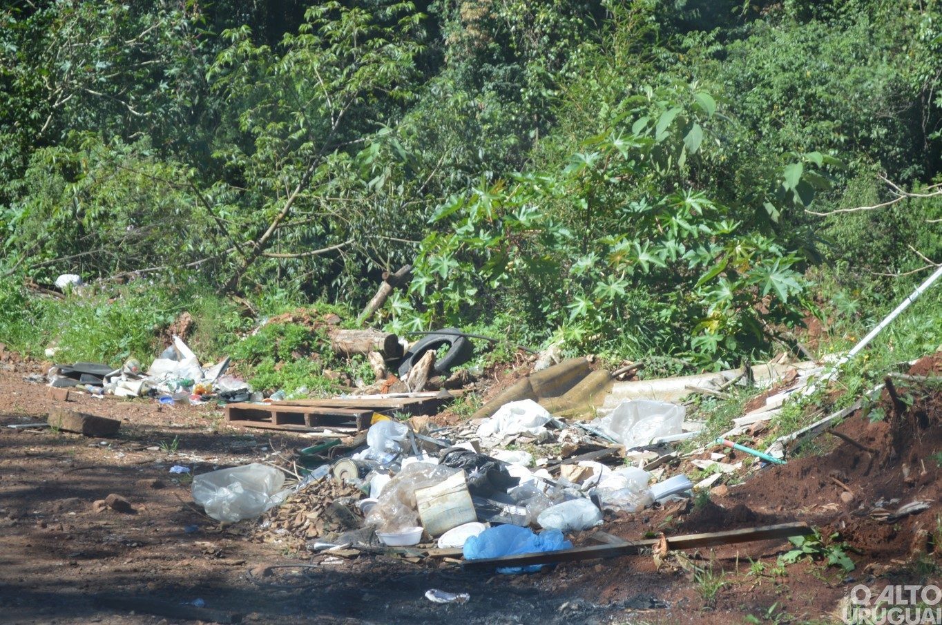 Descarte irregular de lixo em FW por parte da população gera preocupação