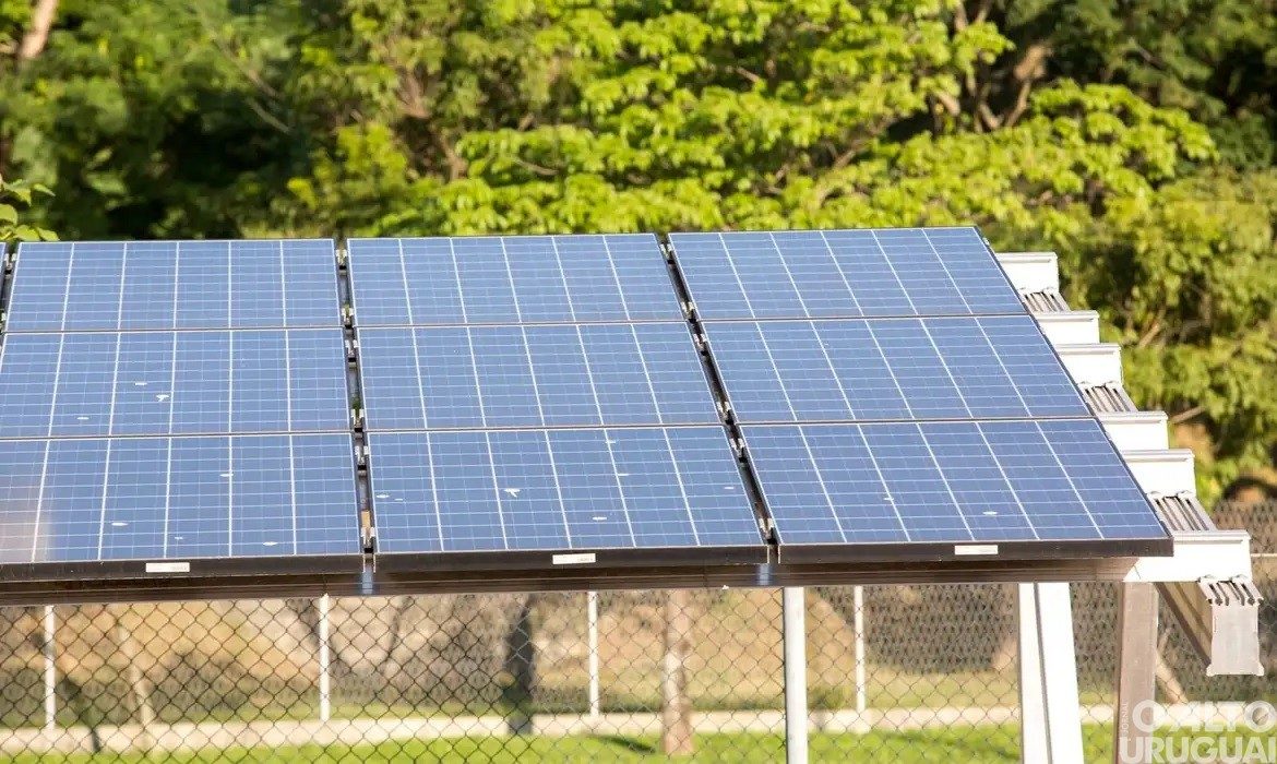 Com 22% da matriz elétrica, energia solar é a 2ª maior fonte do país
