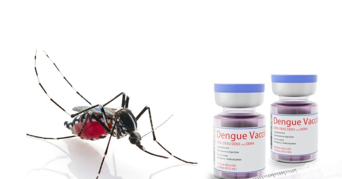 Vacinação contra dengue poderá ser feita pelo SUS a partir de fevereiro