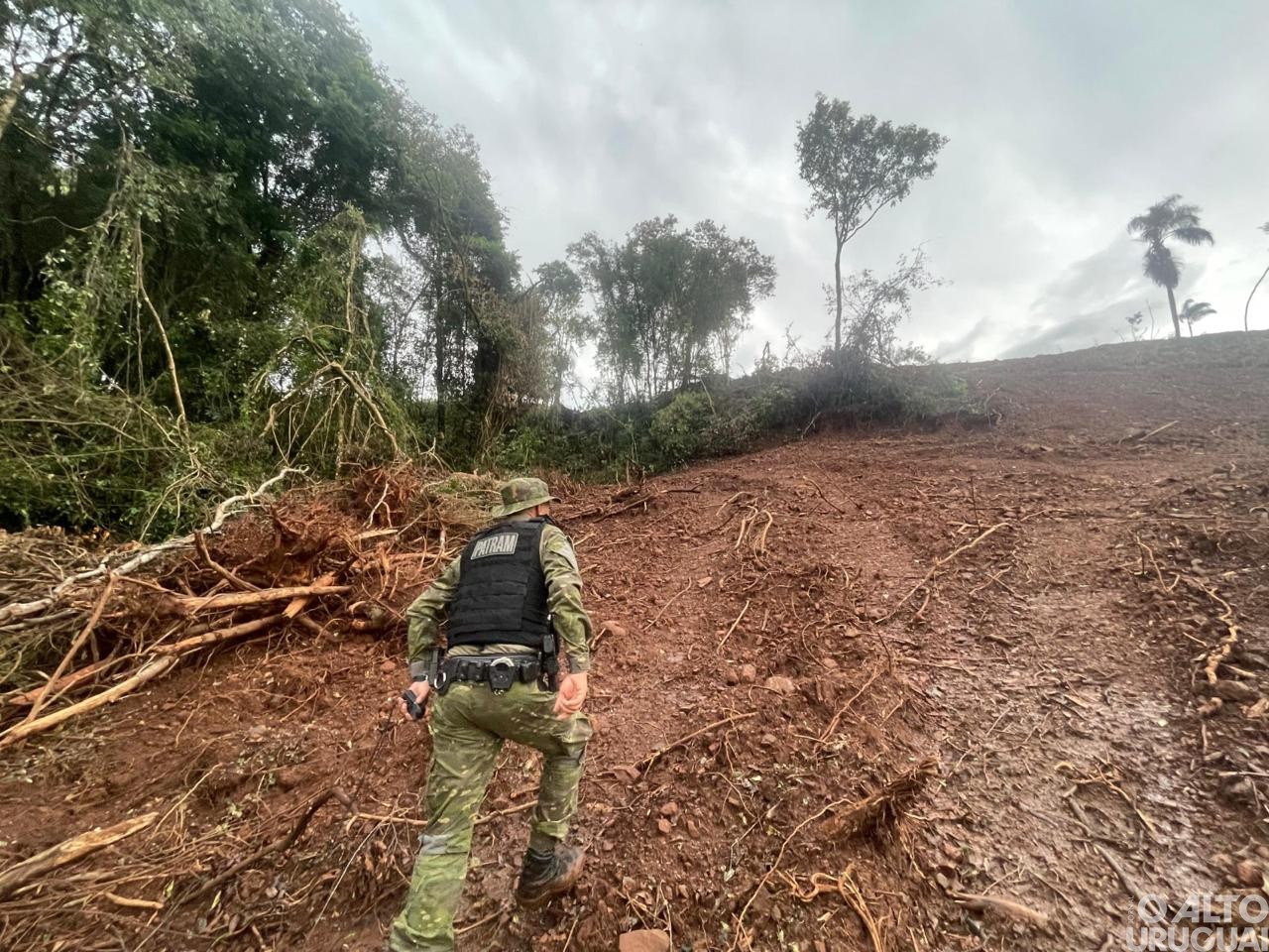 Batalhão Ambiental flagra desmatamento em Rodeio Bonito e Cristal do Sul