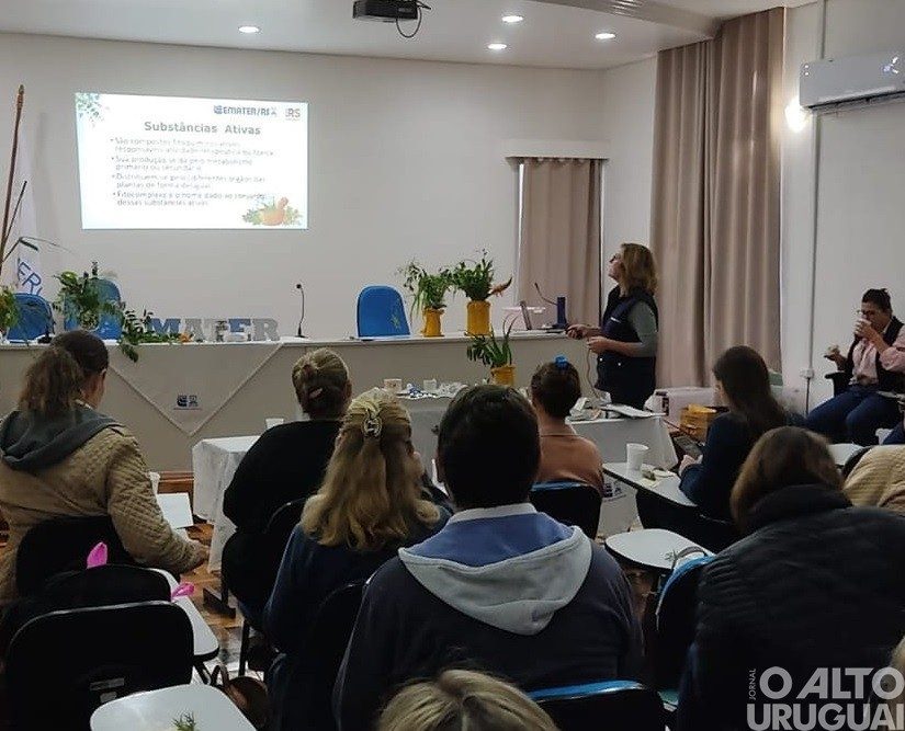 Emater/RS-Ascar junto a 2ª e 15ª CRS realizam encontro em Planalto