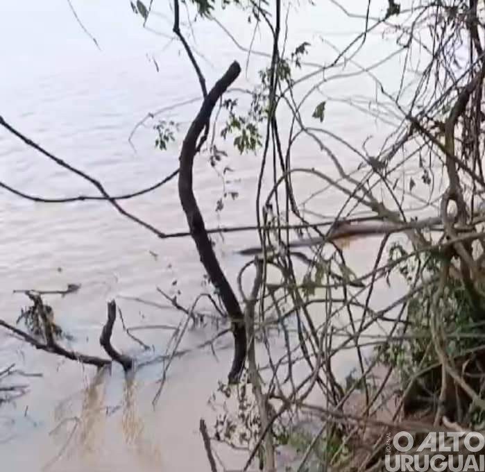 Corpo em decomposição é localizado no rio Uruguai em Iraí