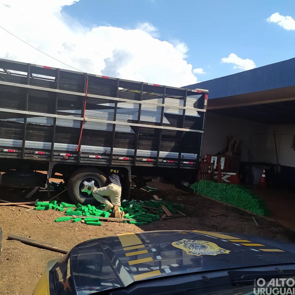 PRF apreende mais de 500 kg de drogas escondidas em caminhão boiadeiro em Seberi