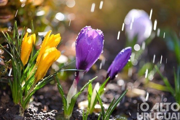 Pancadas de chuva devem marcar início da próxima semana na região