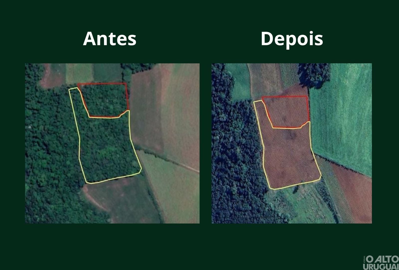 Batalhão Ambiental flagra destruição de vegetação nativa em Pinheirinho do Vale