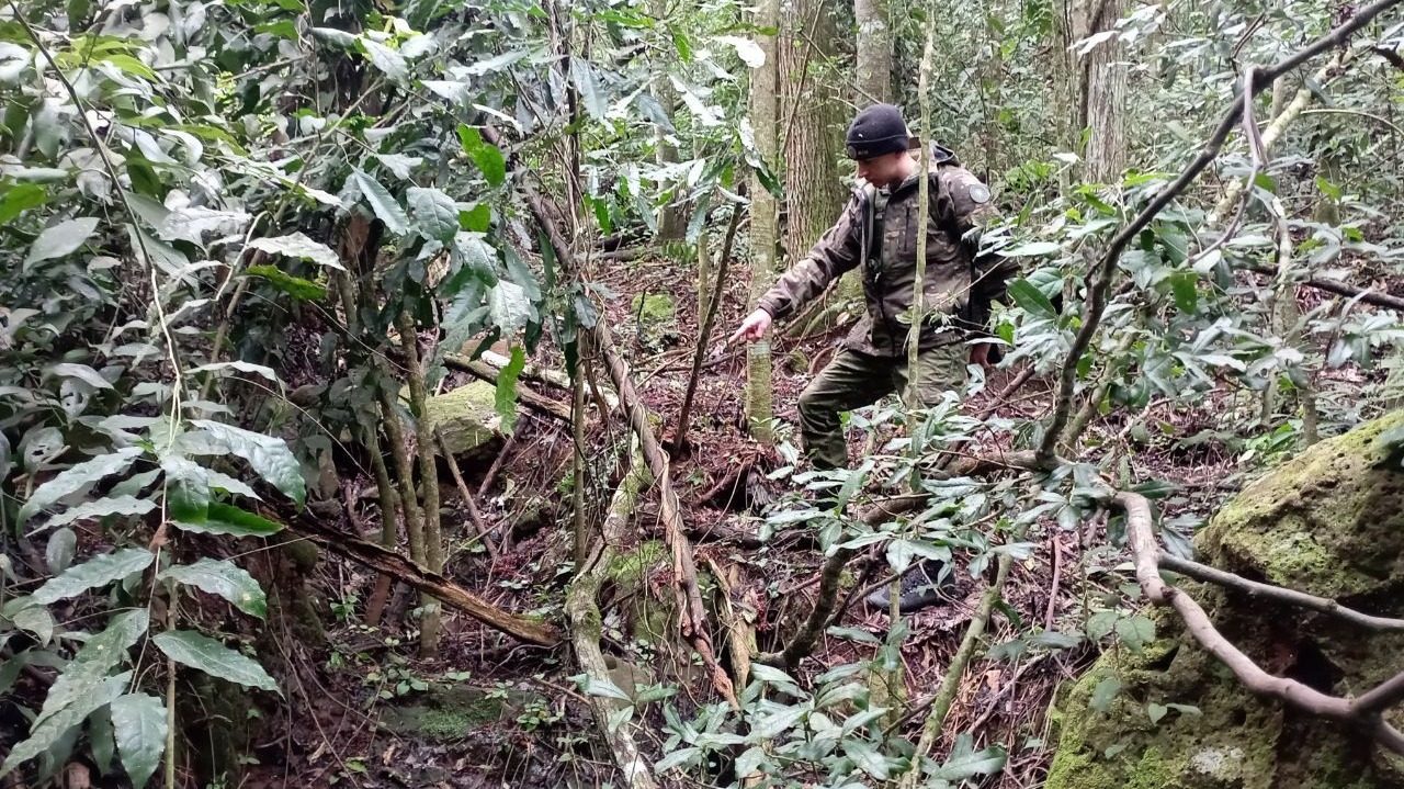 (Crédito: Batalhão Ambiental)