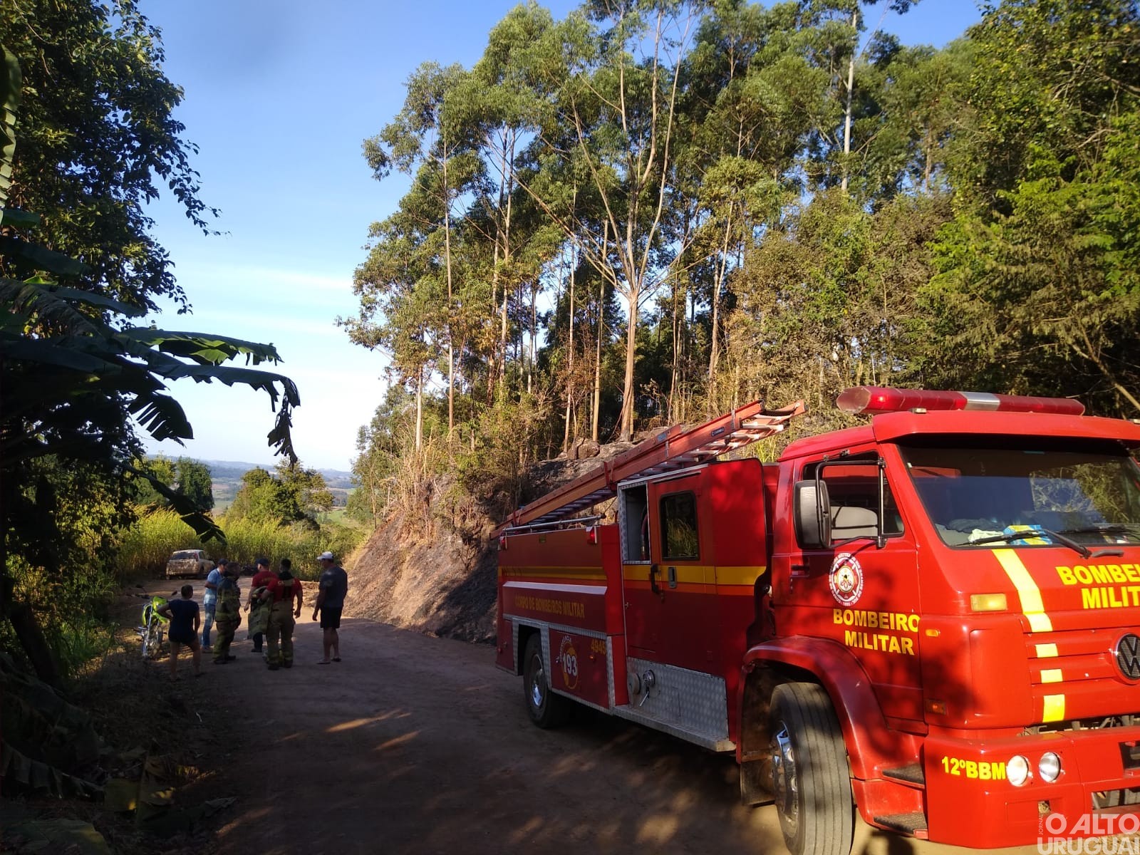 Bombeiros de FW são acionados para controlar incêndio em vegetação