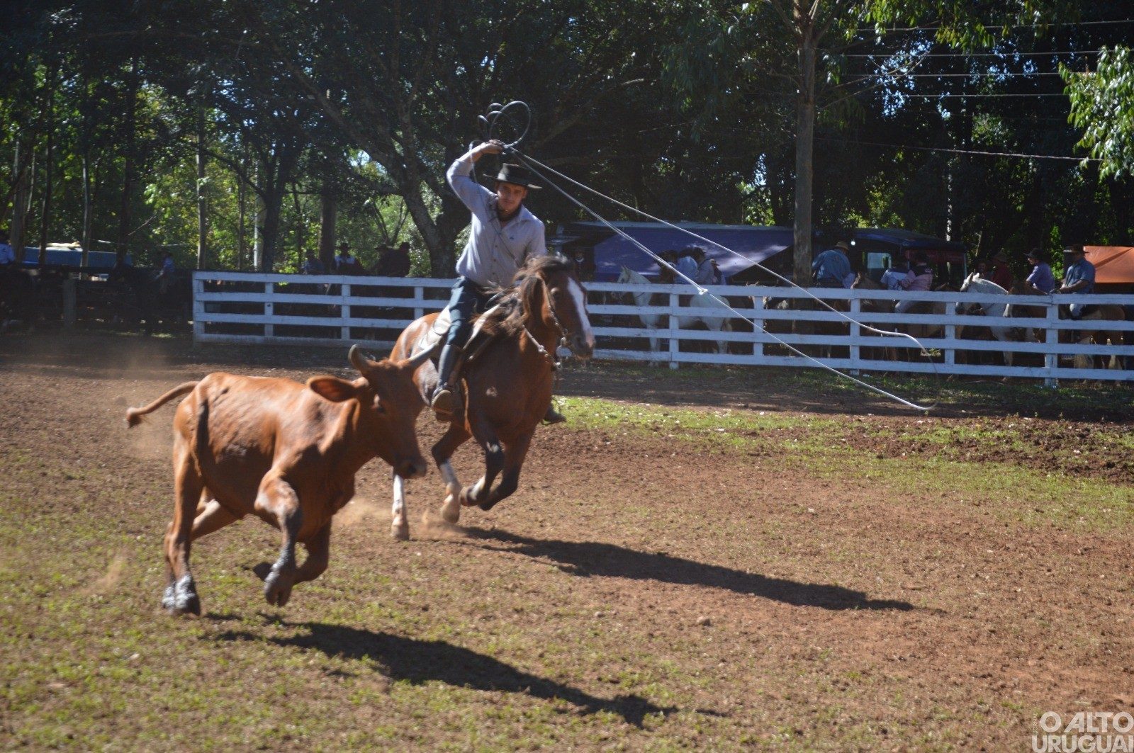 Rodeio Crioulo de FW encerra neste domingo