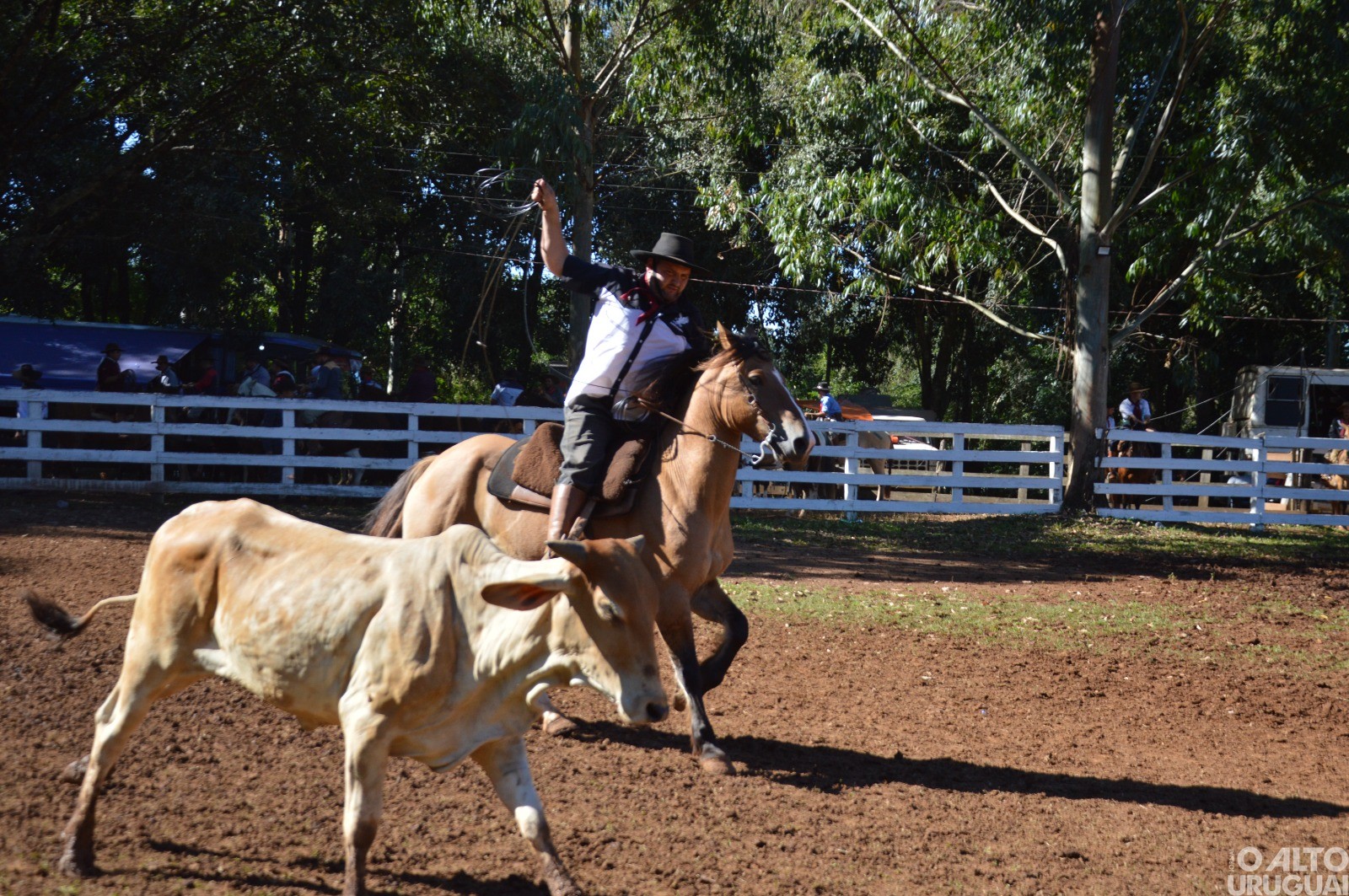 Rodeio Crioulo de FW encerra neste domingo