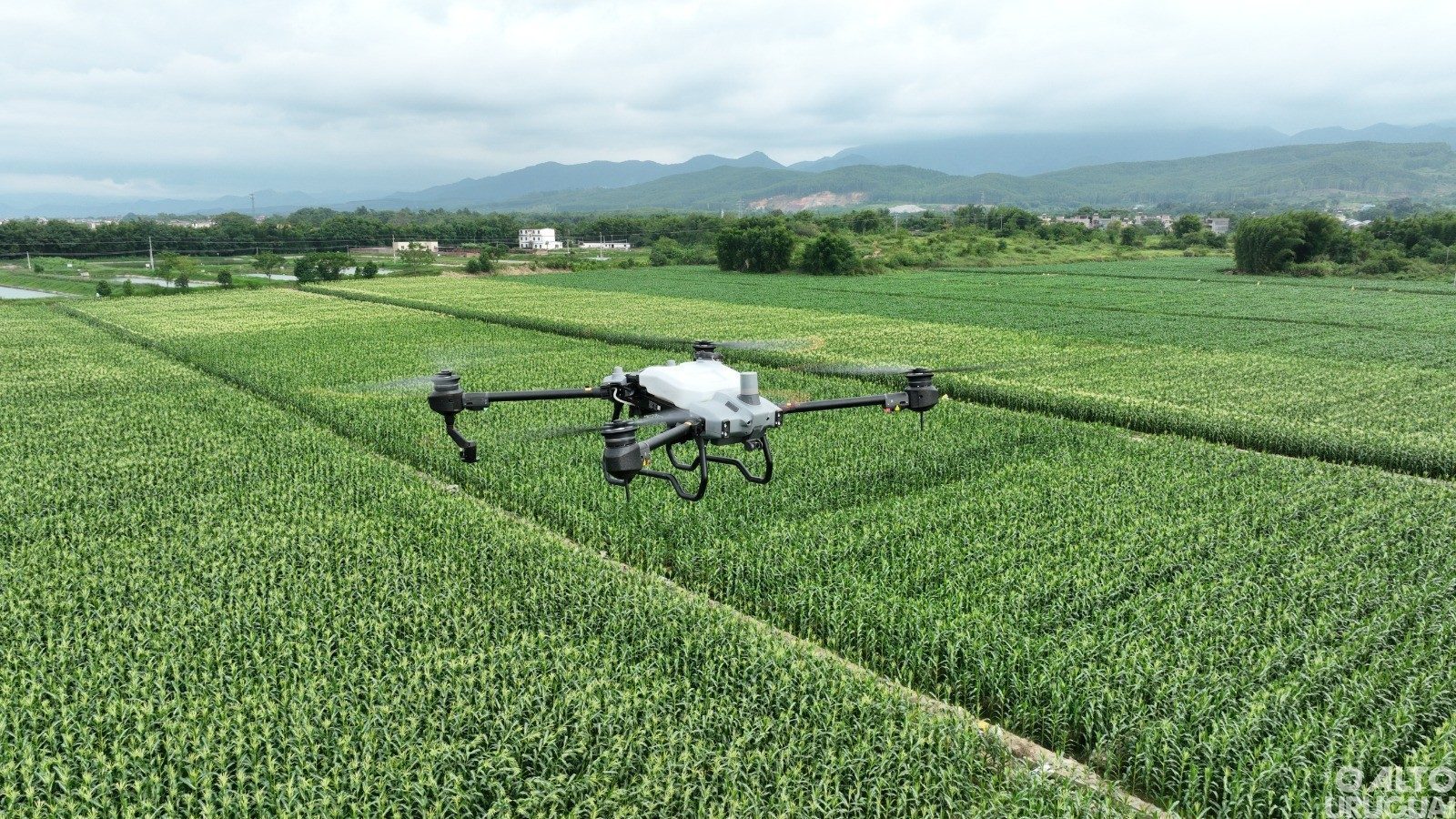 Tecnologia agiliza processos e gera economia no campo