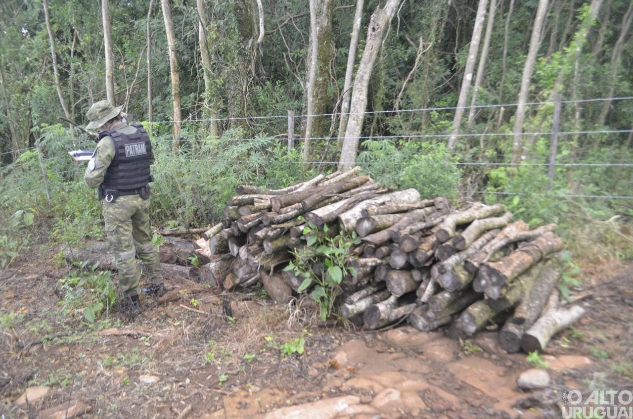 Batalhão Ambiental registra aumento de 113,7% em áreas desmatadas em um ano