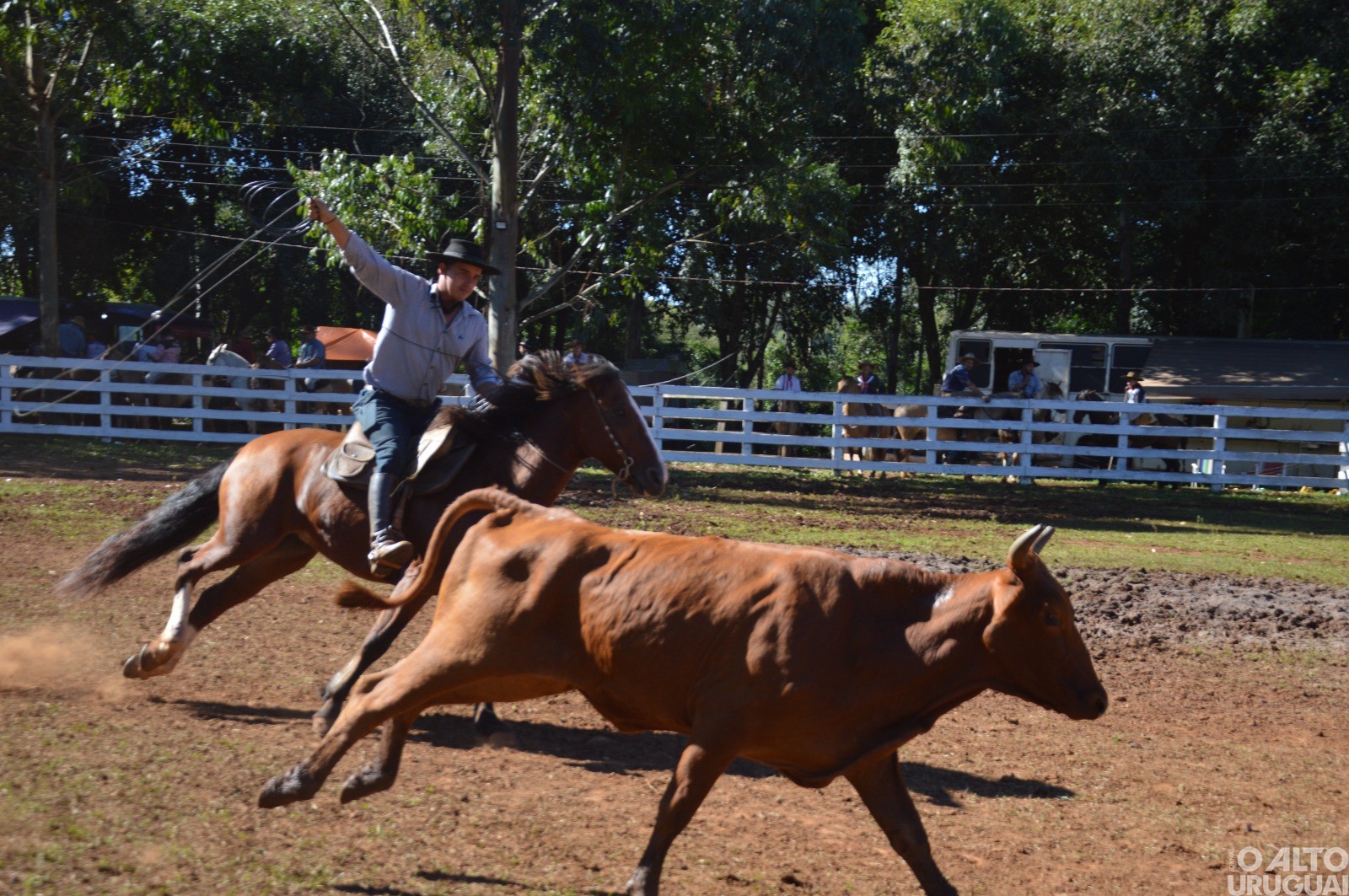 Rodeio Crioulo de FW encerra neste domingo