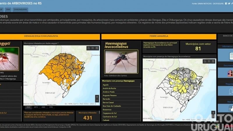 Estado lança painel de monitoramento de doenças transmitidas por mosquitos