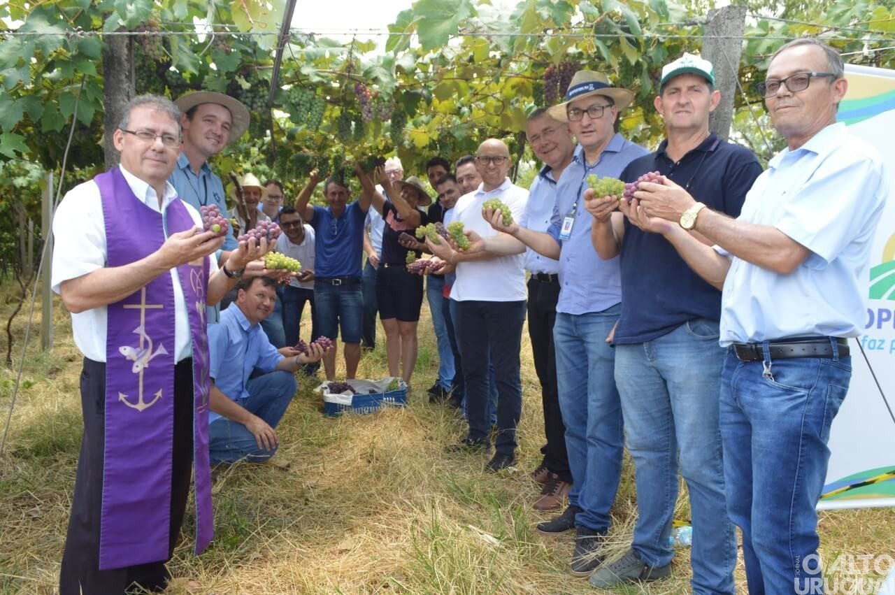 Dia de Campo Regional marca Abertura da Colheita da Uva em Ametista do Sul 