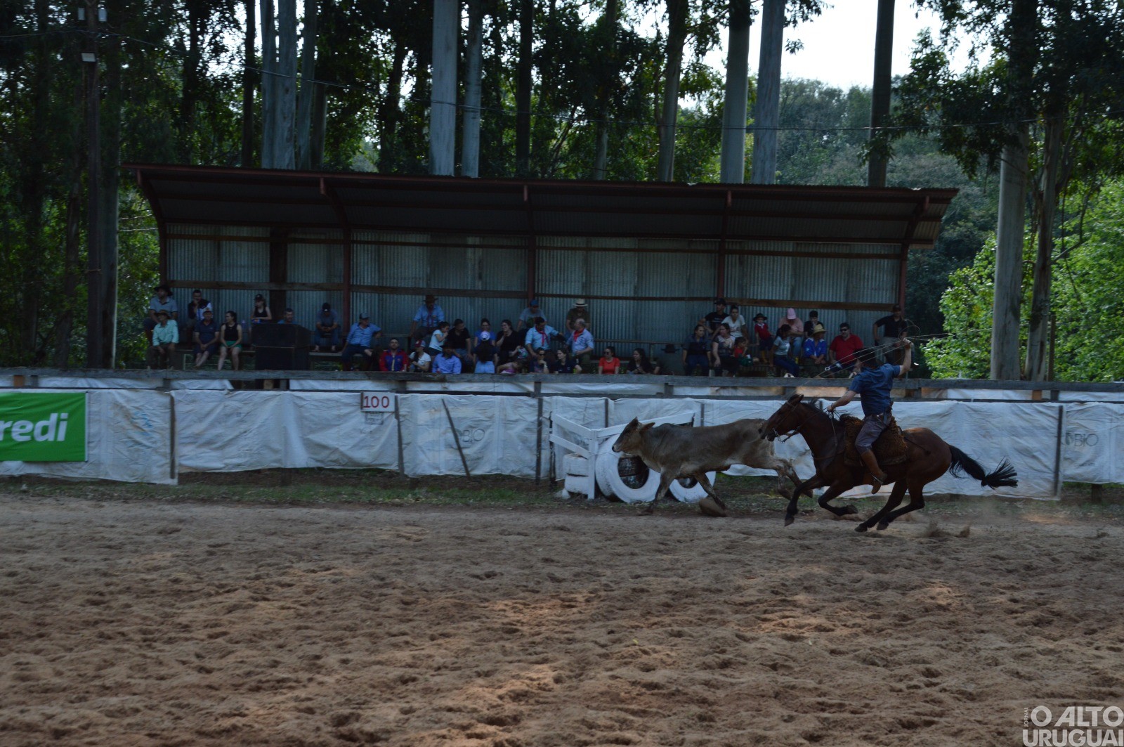 Boa Vista das Missões: Rodeio Crioulo reúne grande número de tradicionalistas