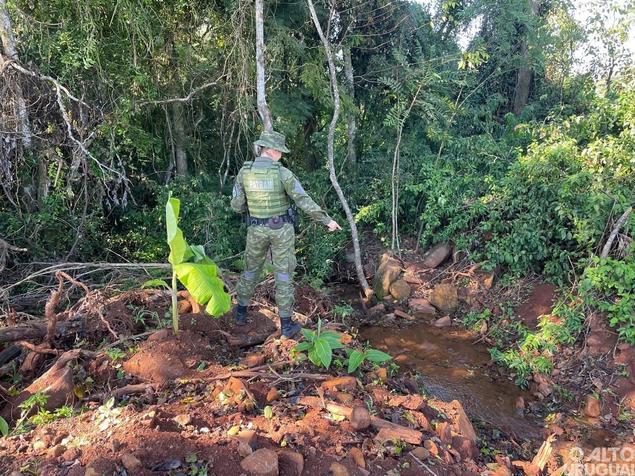 Brigada Militar flagra desmatamento em Rodeio Bonito