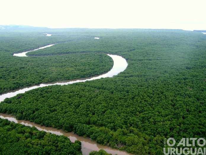Apenas 7% dos rios da Mata Atlântica apresentam água de boa qualidade