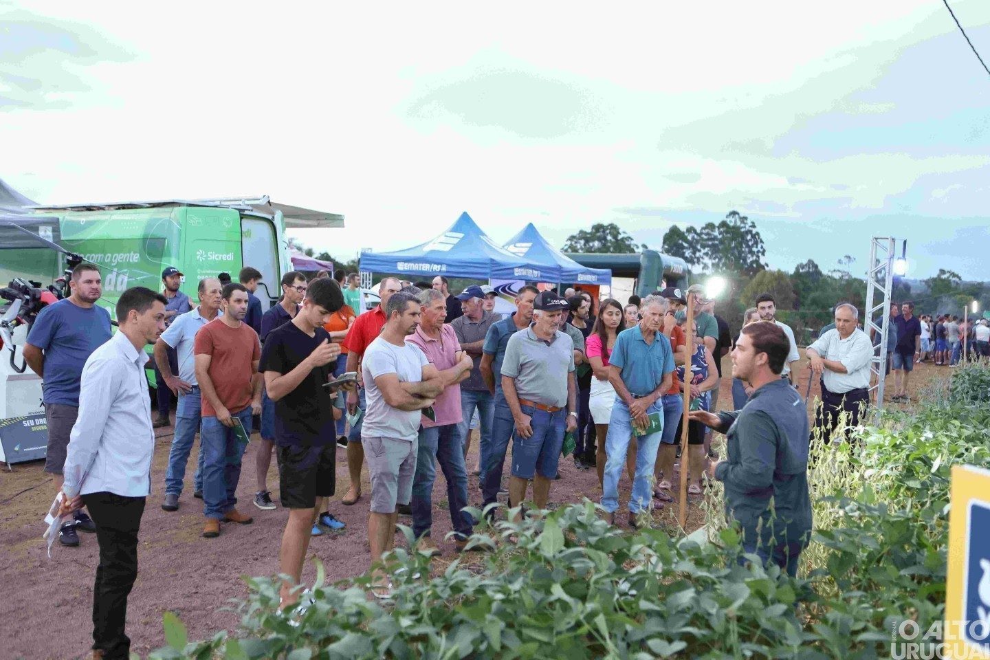 Cotrifred realiza Noite de Campo da Soja 2025