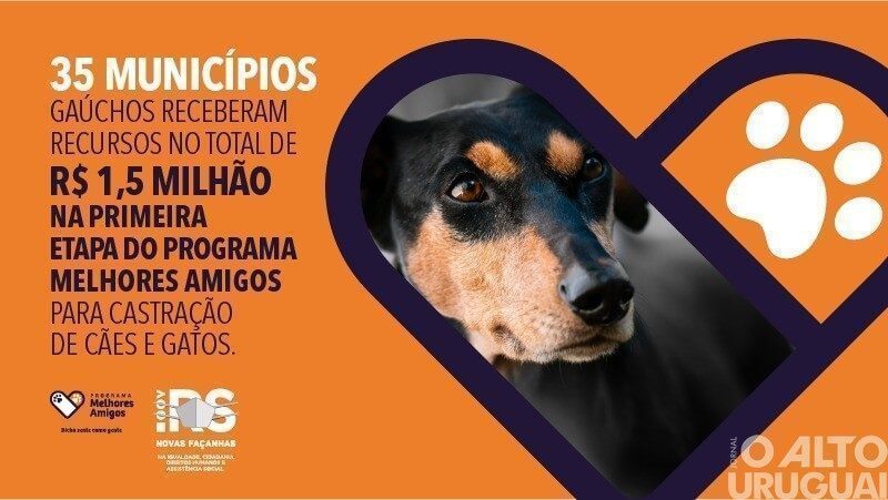 Prefeitura de FW firma convênio para castração de animais de rua