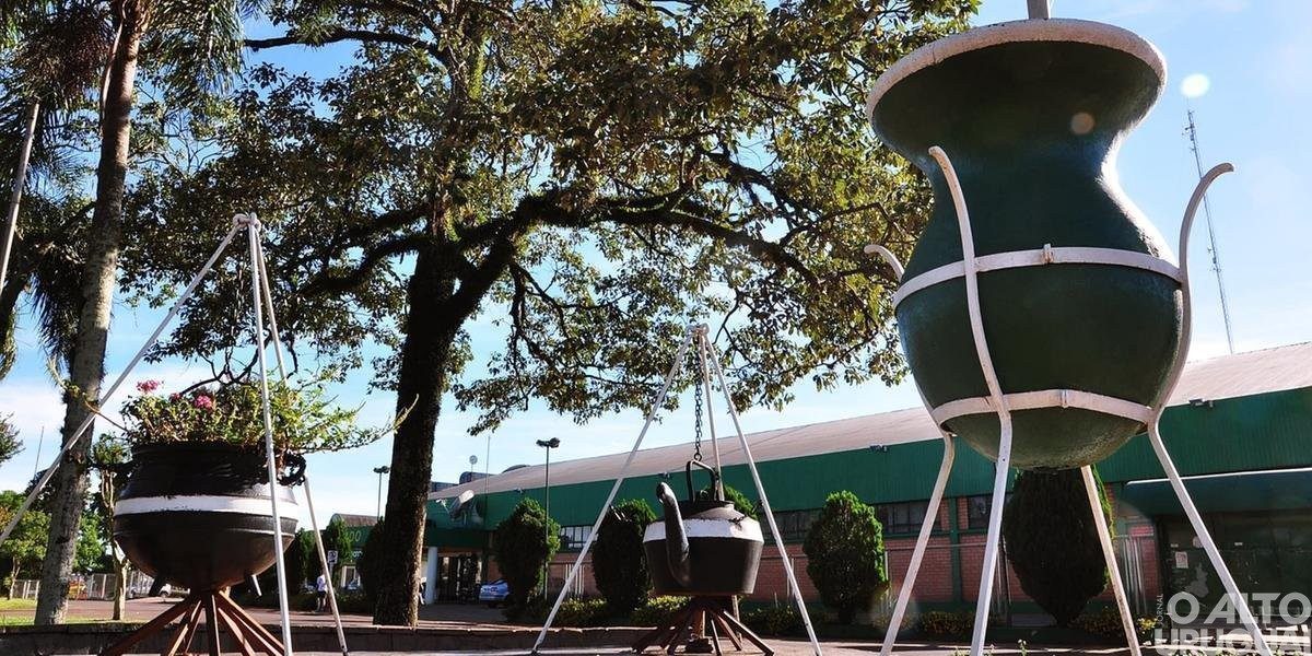 Abertura oficial da colheita da erva-mate acontecerá em Palmeira das Missões