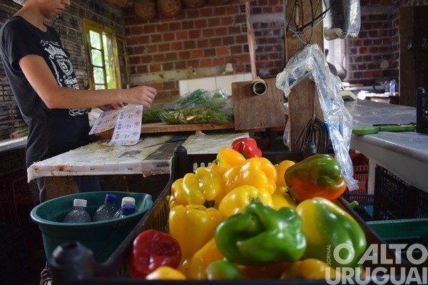 Feira Orgânica da UFSM/FW completa seis anos