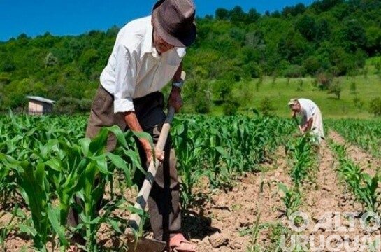 Câmara aprova medidas de auxílio a agricultores familiares