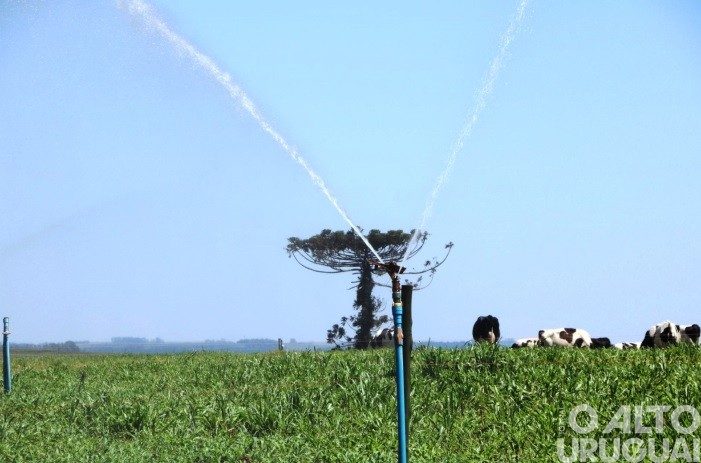Governo do Estado lança edital para projetos de irrigação