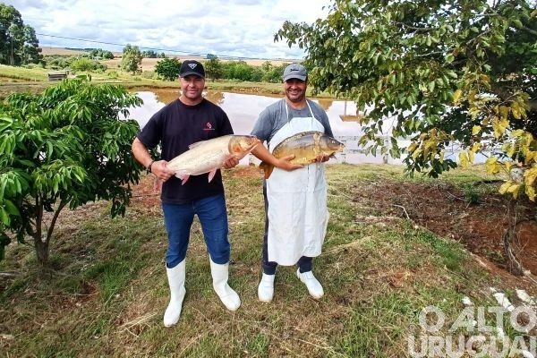 2,5 mil toneladas de pescado devem ser comercializadas no RS