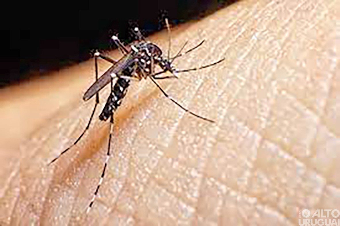 Segunda morte por dengue é confirmada em FW