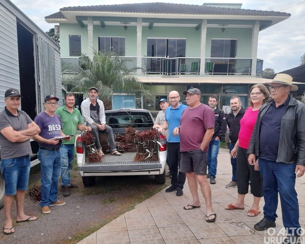 Agricultores recebem mudas frutíferas em Ametista do Sul