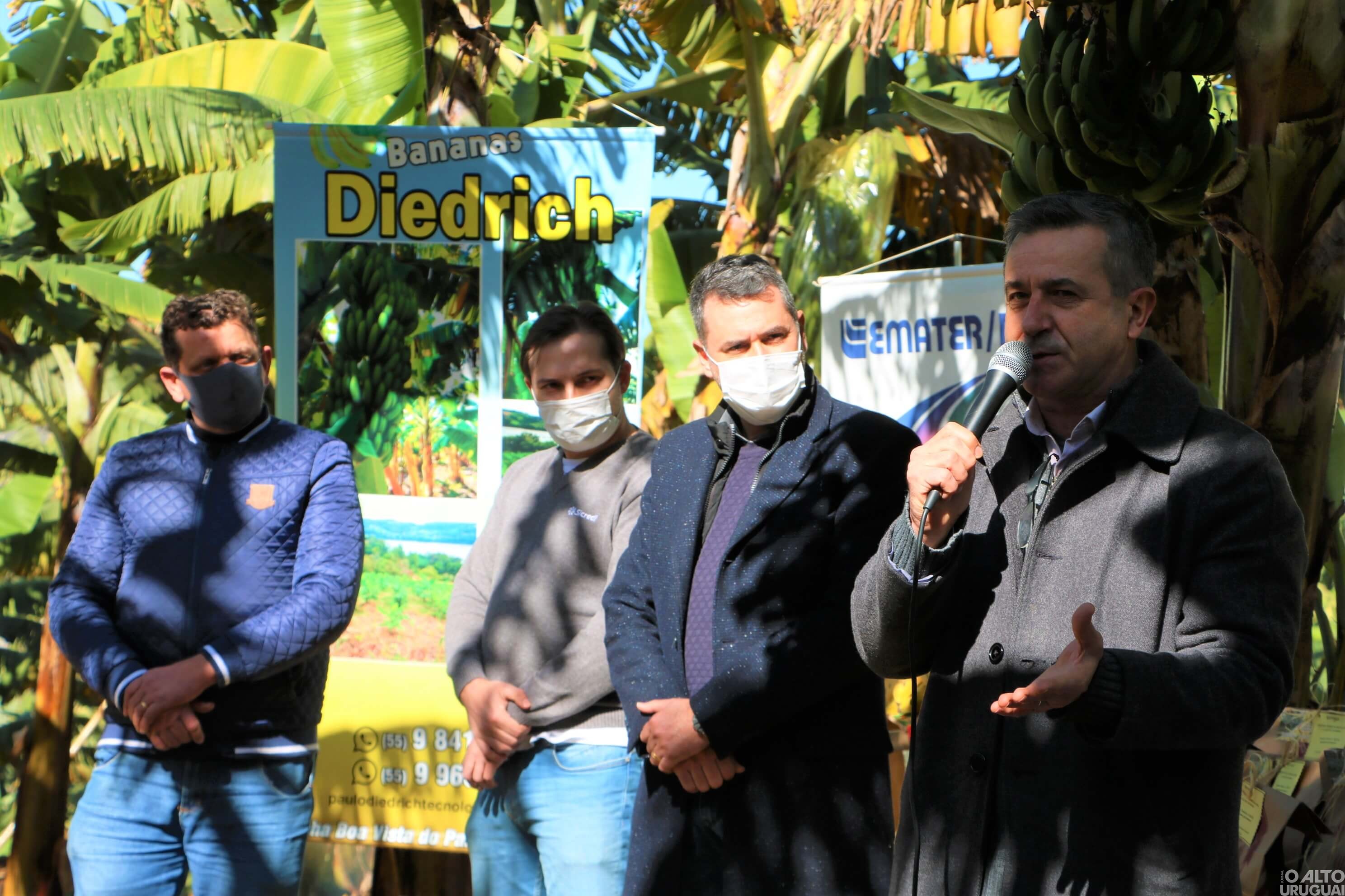 Cultivo da banana é destaque em Caiçara