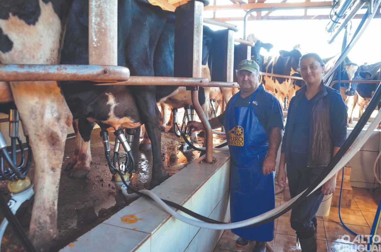 Primeiros passos na suinocultura em Seberi