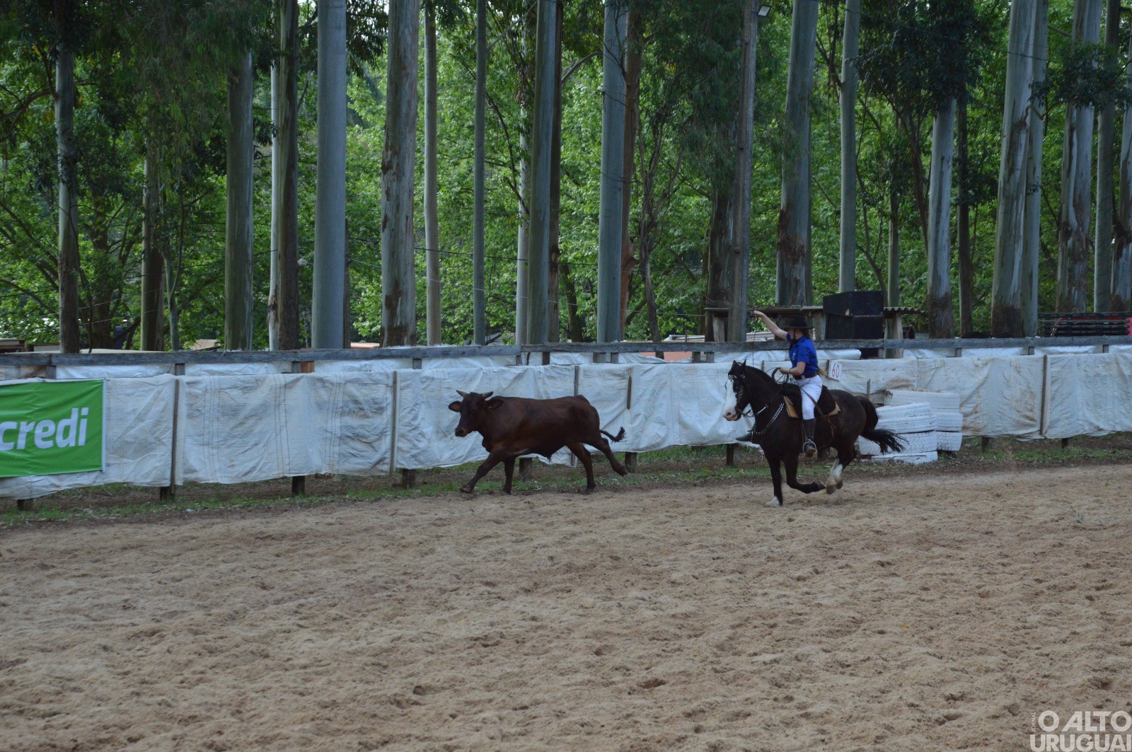Boa Vista das Missões: Rodeio Crioulo reúne grande número de tradicionalistas