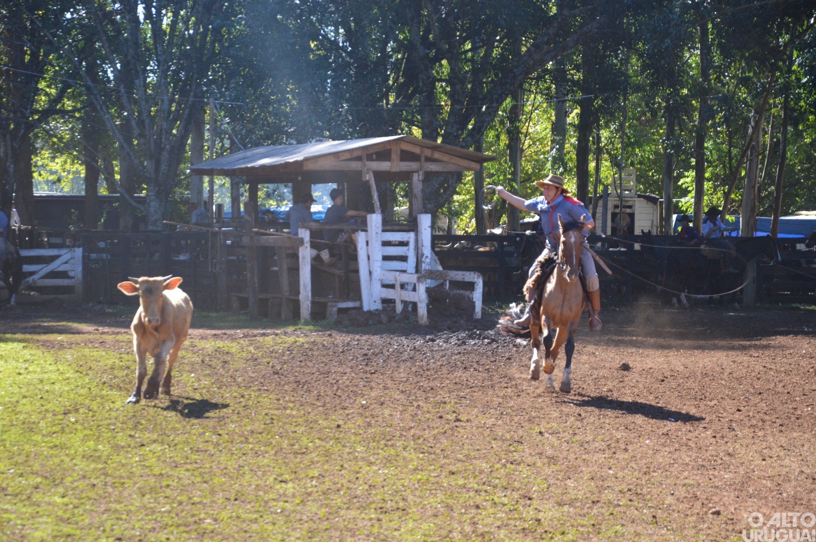 Rodeio Crioulo de FW encerra neste domingo