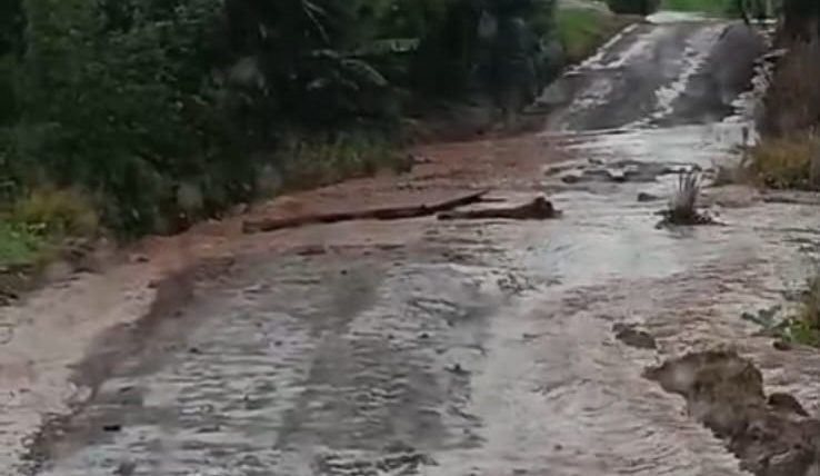 (Crédito: Divulgação)