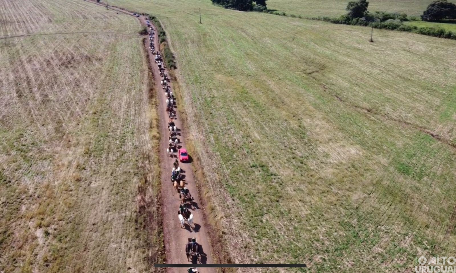 Cerca de 80 carroças participam da Carreata da Amizade na linha Conceição