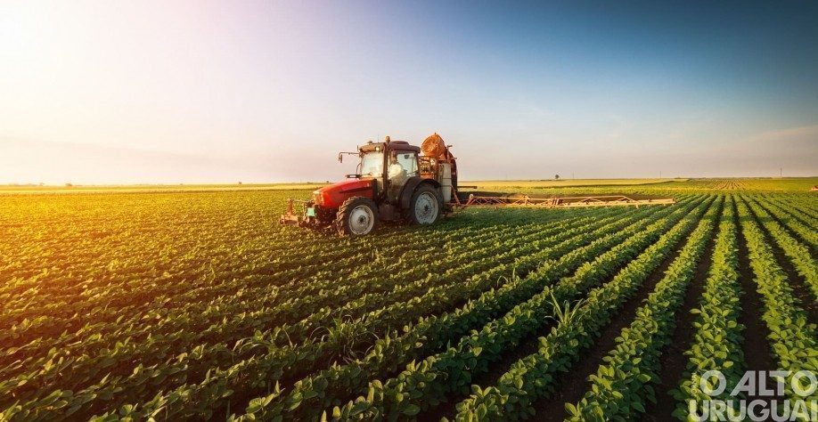 Governo federal deverá liberar R$ 5 bilhões para o agronegócio gaúcho