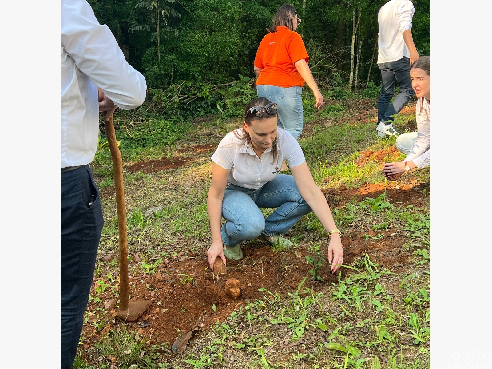 Cresol Raiz realiza ação simbólica com plantio de árvores em FW
