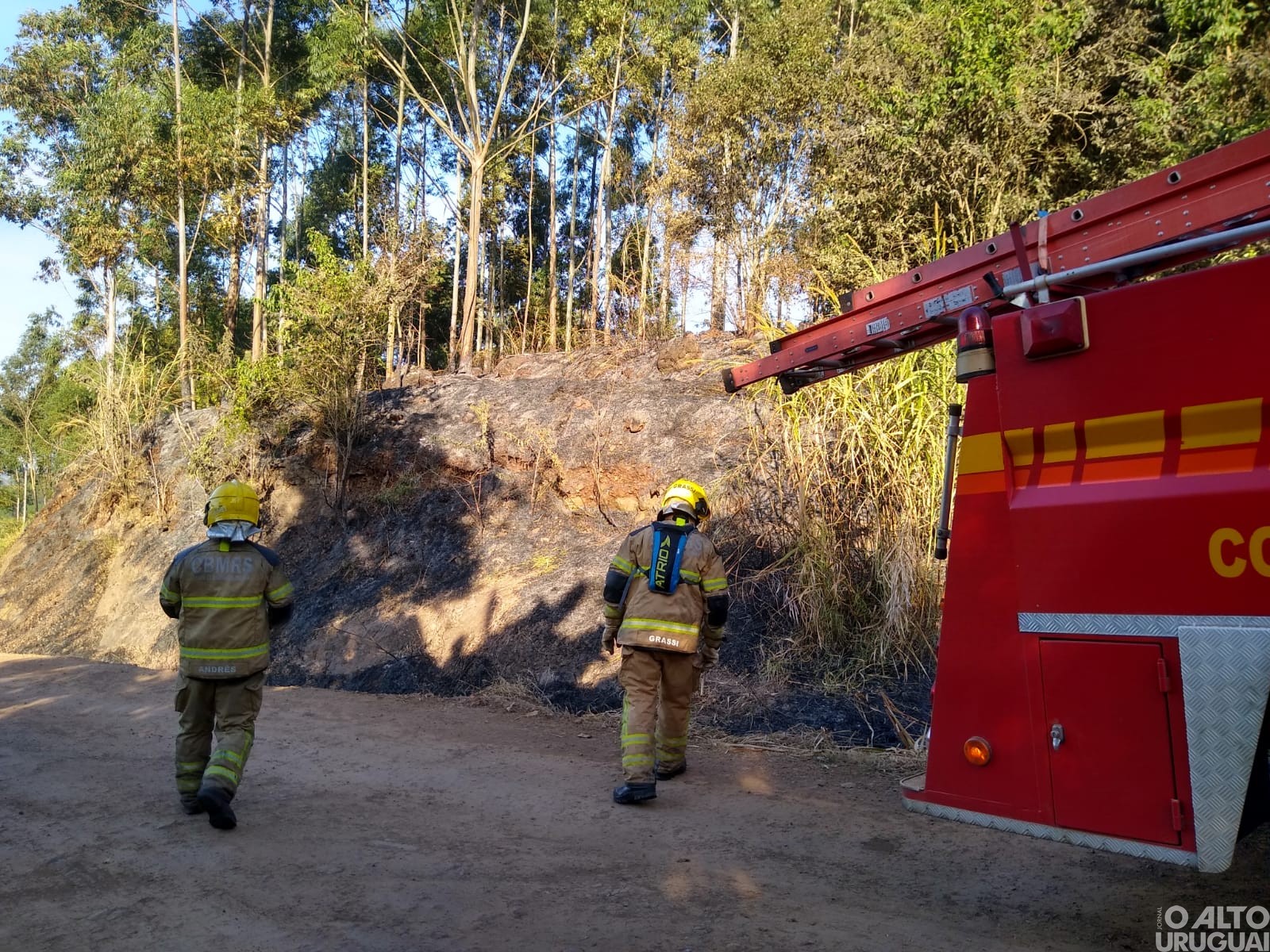 Bombeiros de FW são acionados para controlar incêndio em vegetação