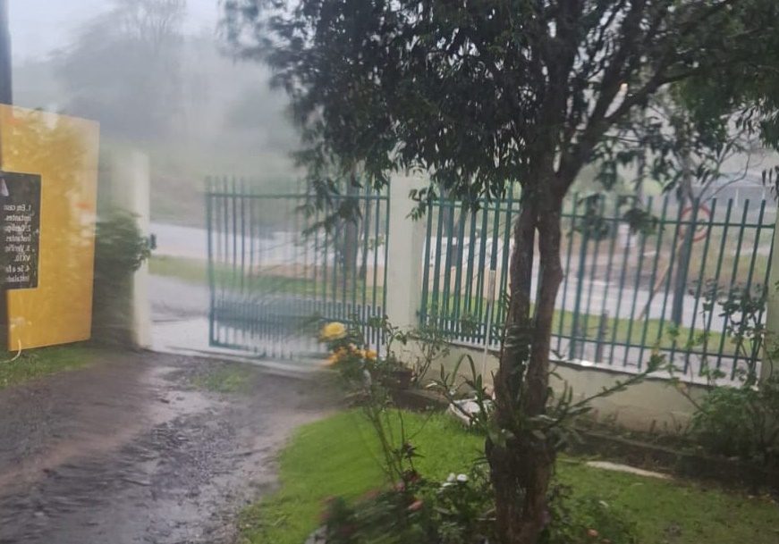 (Crédito: Levi de Oliveira)