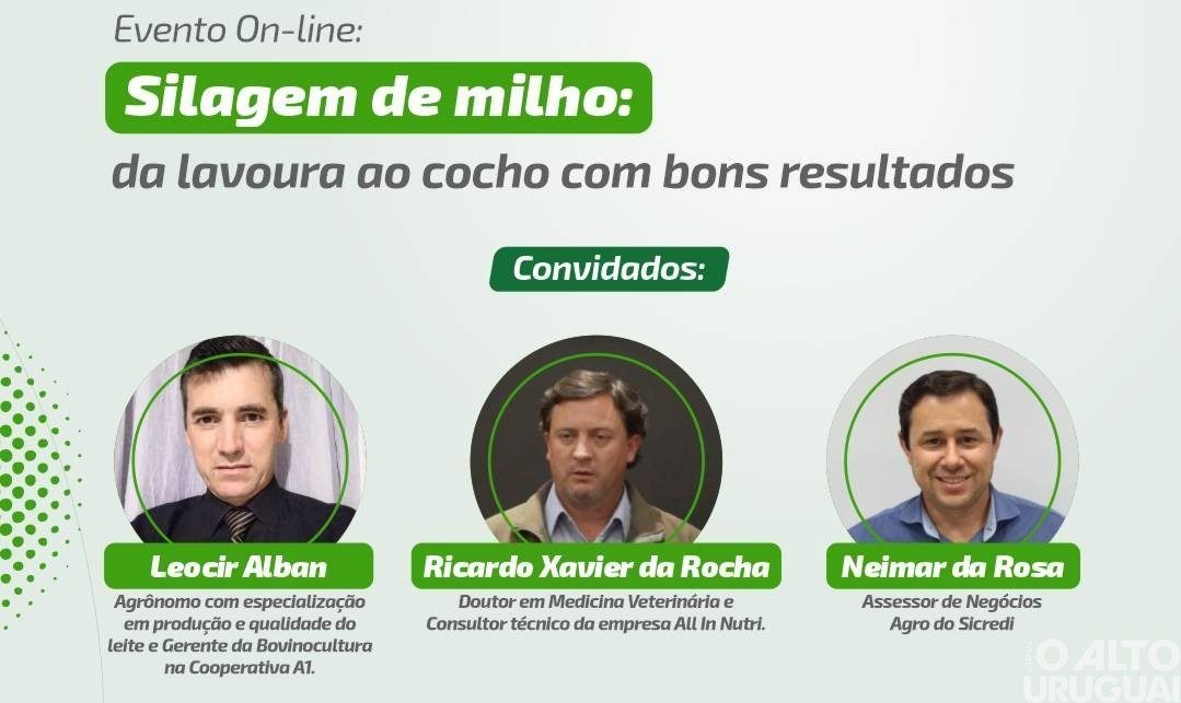 Sicredi Alto Uruguai promove evento on-line sobre práticas para silagem de milho