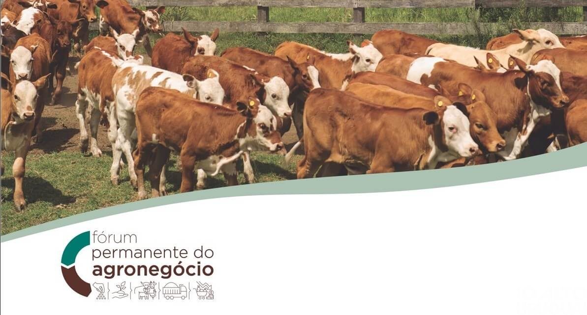 Fórum “De onde virão os terneiros?” inicia na quinta-feira