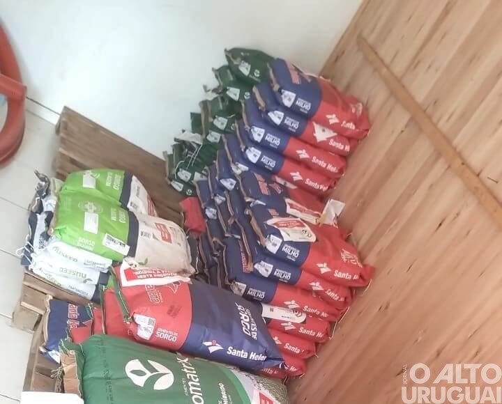 Sementes de Milho Safrinha estão disponíveis na Secretaria da Agricultura de Cristal do Sul