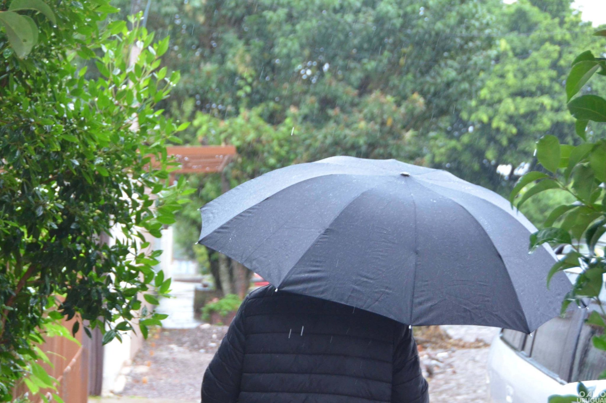 Chuva e vento: efeitos do ciclone continuam na quarta-feira