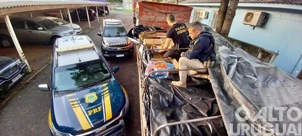 PRF e PF apreendem carga de camarão avaliada em mais de R$ 1 milhão