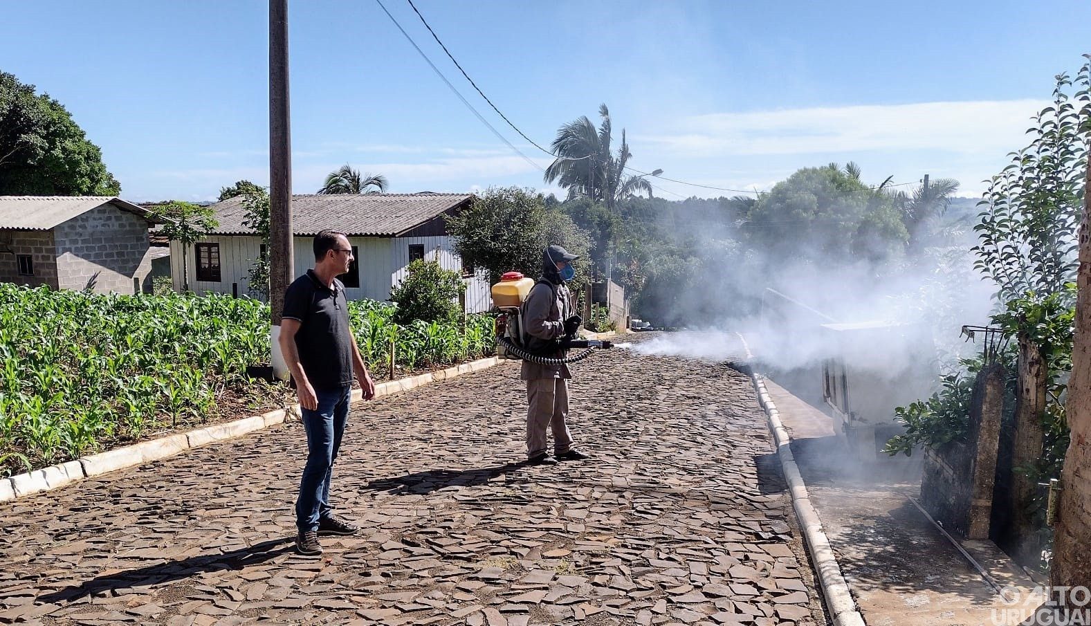Primeiras semanas de 2024 já têm mais de 100 casos confirmados de dengue na área de abrangência da 2ª CRS
