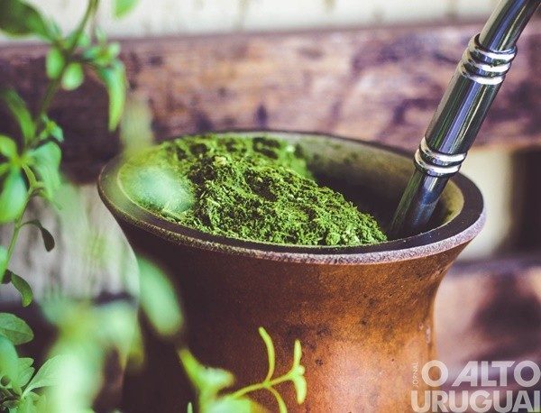 Voluntários pedem kits de chimarrão, lã para tricô e jogos para humanizar abrigos