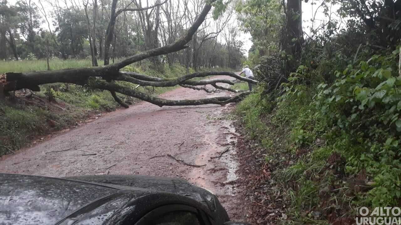 Temporal causa danos na região